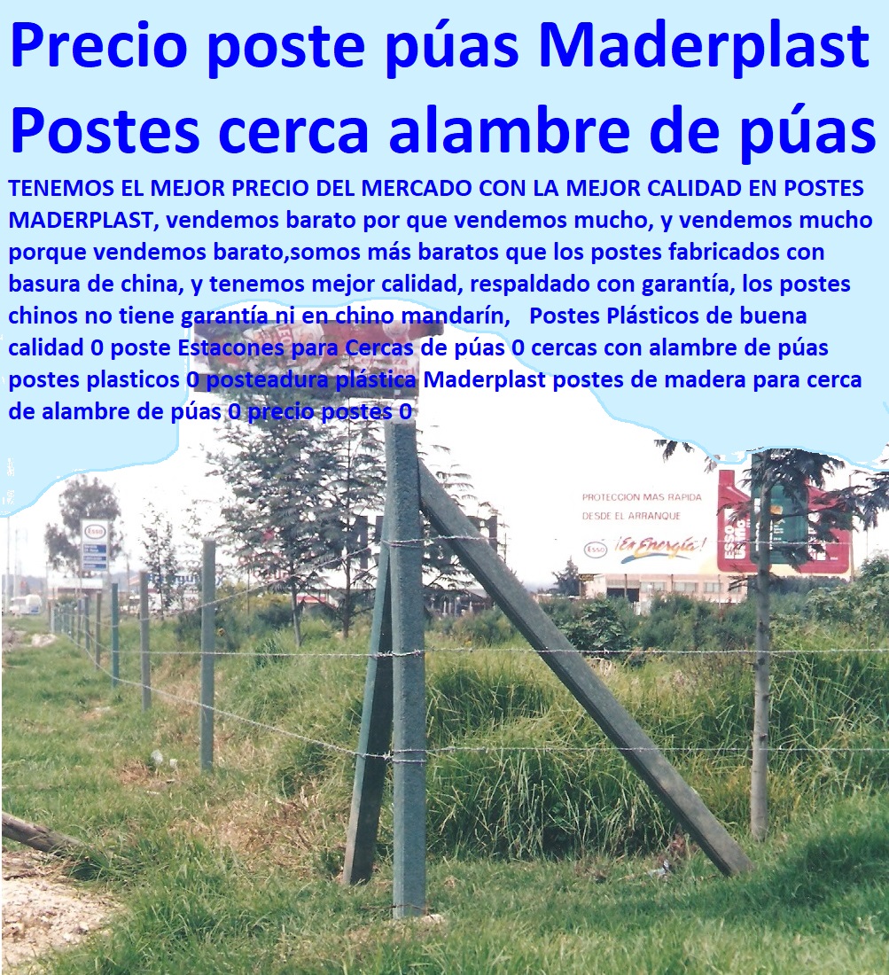 Postes Plásticos de buena calidad 0 poste Estacones para Cercas de púas 0 cercas con alambre de púas postes plasticos 0 posteadura plástica Maderplast postes de madera para cerca de alambre de púas 0 precio postes 0 Postes Plásticos de buena calidad 0 poste Estacones para Cercas de púas 0 cercas con alambre de púas postes plasticos 0 posteadura plástica Maderplast postes de madera para cerca de alambre de púas 0 precio postes 0 Postes Plásticos de buena calidad 0 poste Estacones para Cercas de púas 0 cercas con alambre de púas postes plasticos 0 posteadura plástica Maderplast postes de madera para cerca de alambre de púas 0 precio postes 0